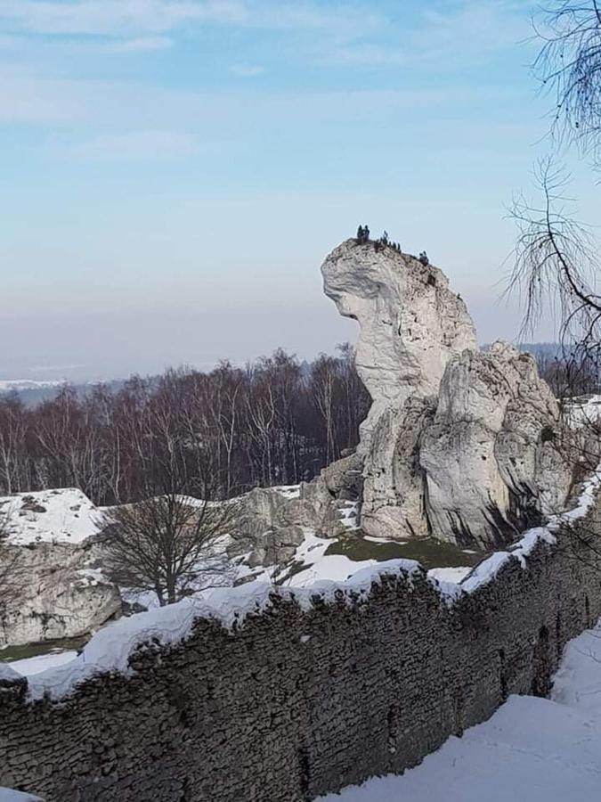 Pokoje Przy Zamku Podzamcze  Exterior photo